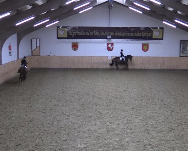 Reitturnier Olfen-Vinnum 2022