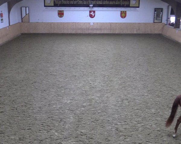 Reitturnier Olfen-Vinnum 2022
