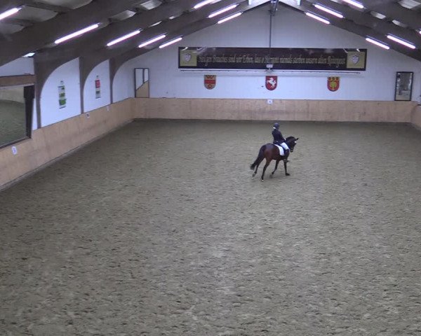 Reitturnier Olfen-Vinnum 2022