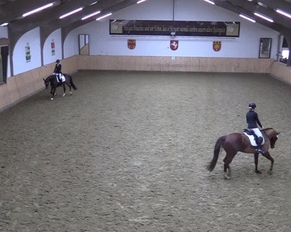 Reitturnier Olfen-Vinnum 2022