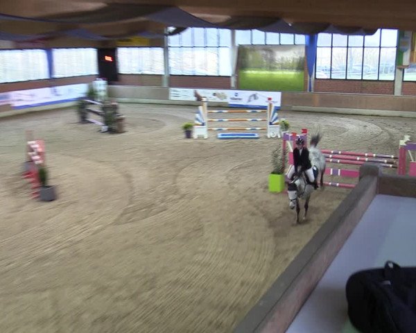 20. Hallen-Springturnier Heiden 2022