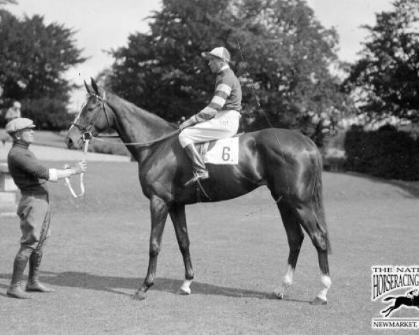 broodmare Rockfel xx (Thoroughbred, 1935, from Felstead xx)