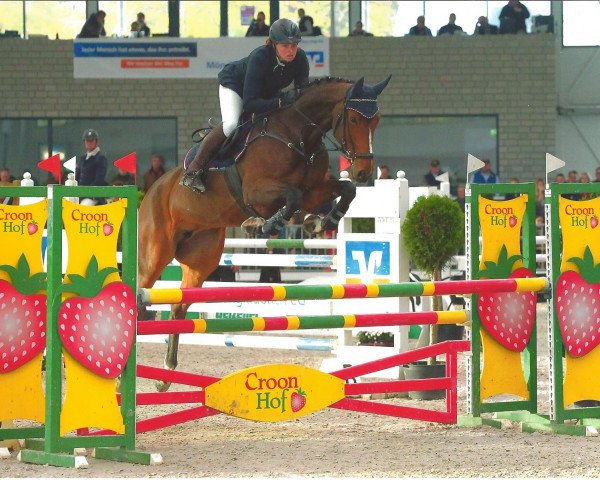 Zuchtstute Contina S (Westfale, 2008, von Con Cornet S)