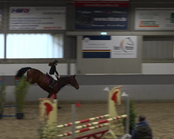 Late Entry Springturnier Luhmühlen 2022