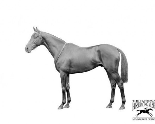 stallion Maiden Erlegh xx (Thoroughbred, 1909, from Polymelus xx)