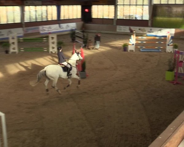 20. Hallen-Springturnier Heiden 2022