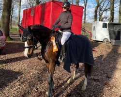 Springpferd Finkenhof's Pippa Blue (Rheinländer, 2017, von Plot Blue)
