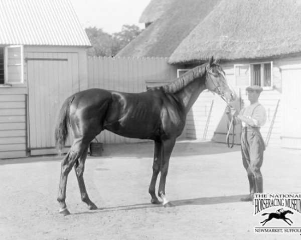 horse Humorist xx (Thoroughbred, 1918, from Polymelus xx)