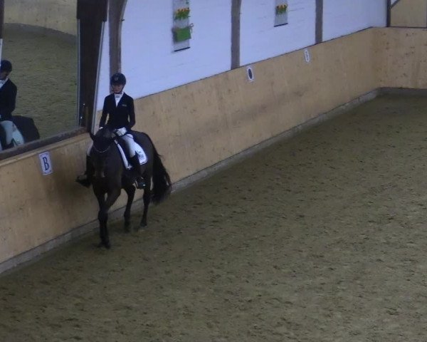 Reitturnier Olfen-Vinnum 2022