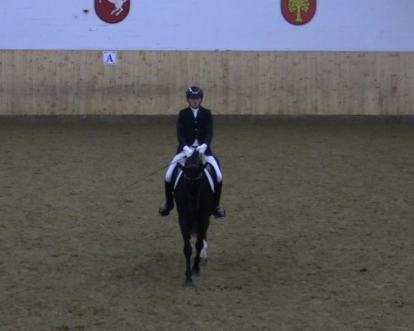 Reitturnier Olfen-Vinnum 2022