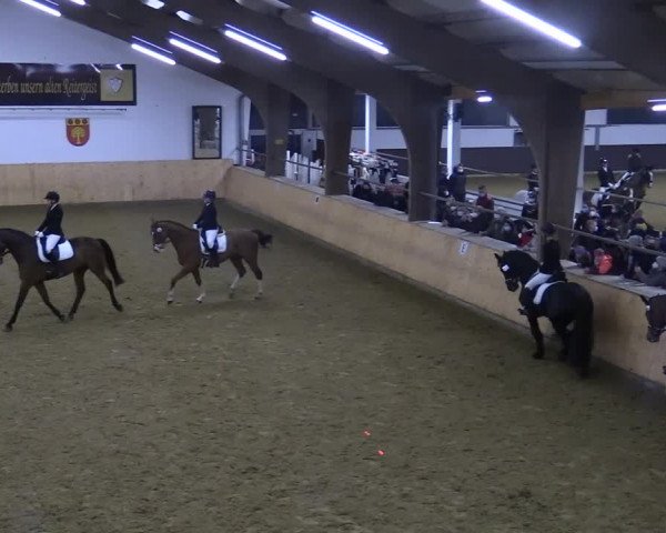 Reitturnier Olfen-Vinnum 2022