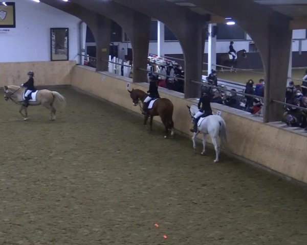 Reitturnier Olfen-Vinnum 2022
