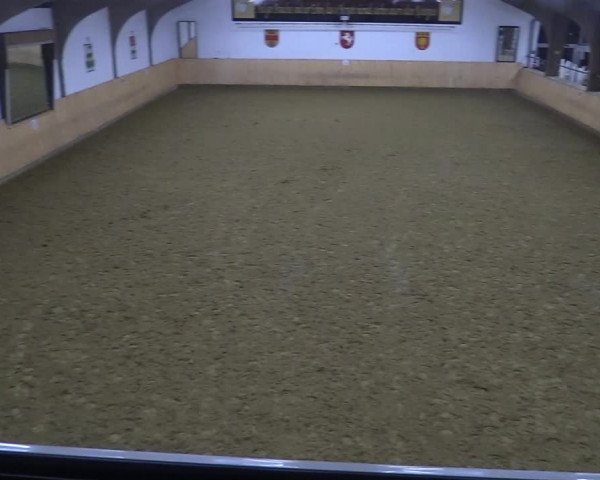 Reitturnier Olfen-Vinnum 2022