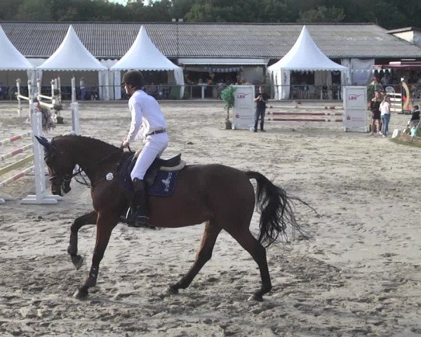Reitturnier Neunkirchen-City 2021