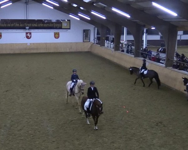 Reitturnier Olfen-Vinnum 2022
