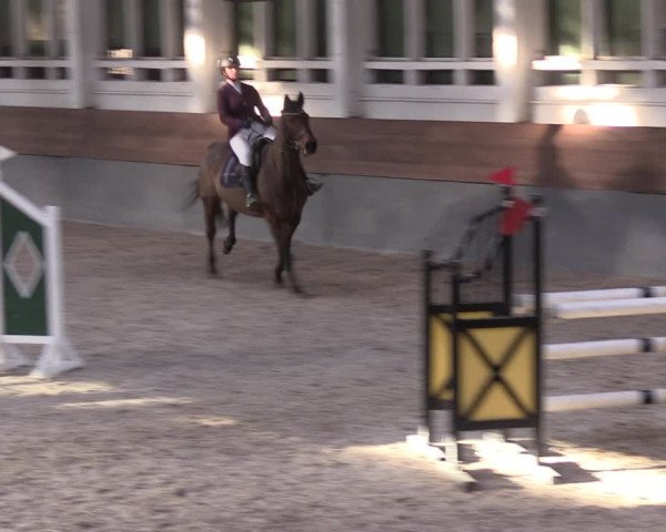 3. Hallenturnier Ströbeck 2022