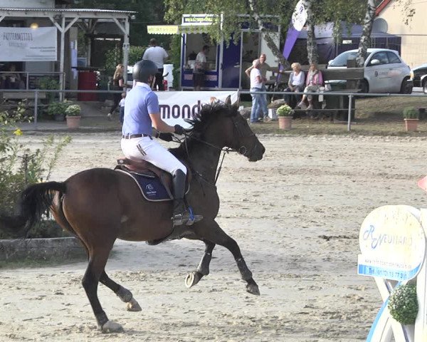Reitturnier Neunkirchen-City 2021