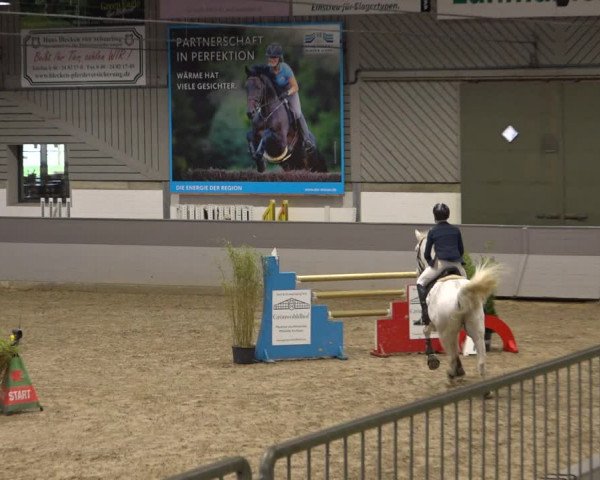 Late Entry Springturnier Luhmühlen 2022