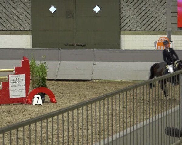 Late Entry Springturnier Luhmühlen 2022