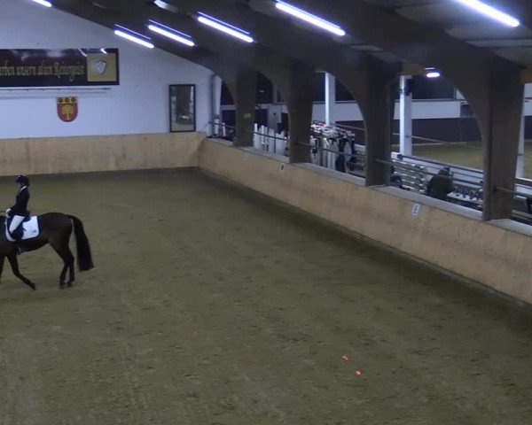 Reitturnier Olfen-Vinnum 2022
