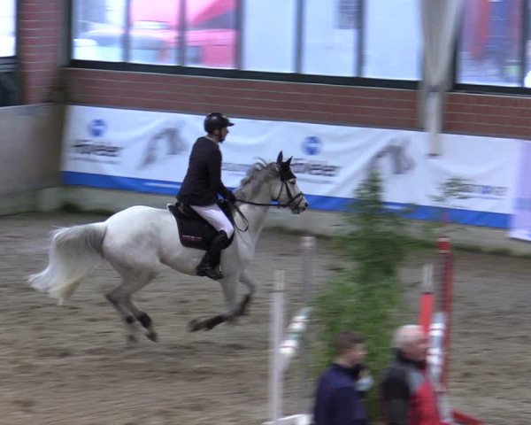 20. Hallen-Springturnier Heiden 2022