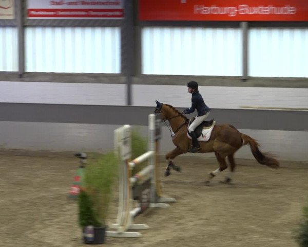 Late Entry Springturnier Luhmühlen 2022