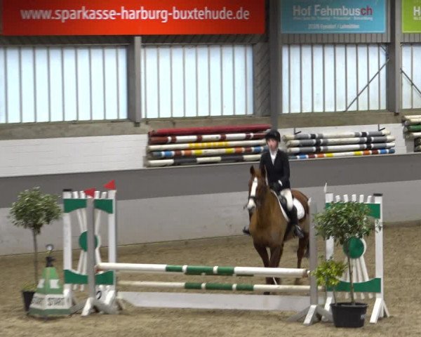 Late Entry Springturnier Luhmühlen 2022