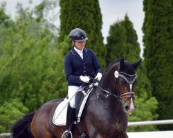 Dressurpferd FBW Bocaccio (Deutsches Sportpferd, 2016, von Bon Coeur)