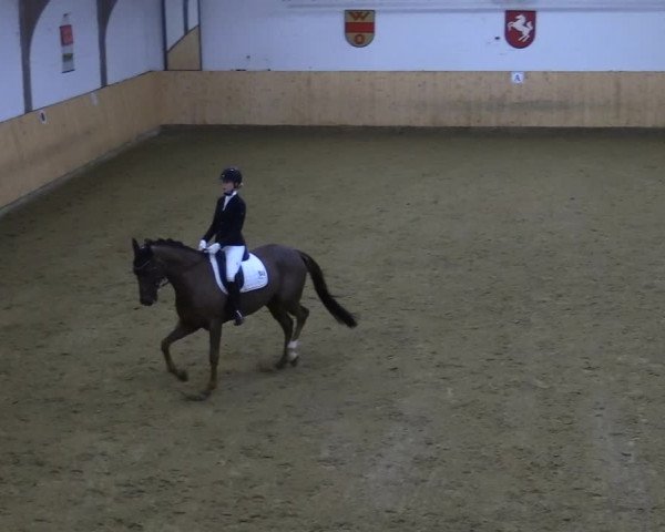 Reitturnier Olfen-Vinnum 2022