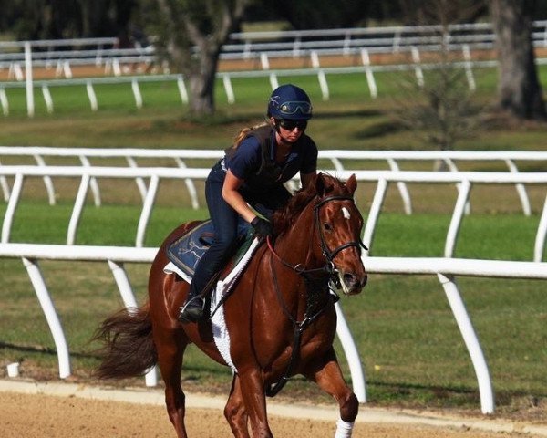 horse Dubyuhnell xx (Thoroughbred, 2020, from Good Magic xx)