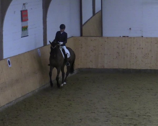 Reitturnier Olfen-Vinnum 2022