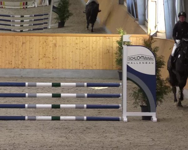 Spring- und Dressur Late Entry Münster-Amelsbüren 2022