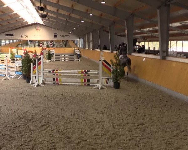Spring- und Dressur Late Entry Münster-Amelsbüren 2022