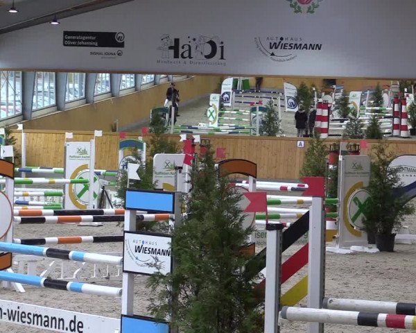 Spring- und Dressur Late Entry Münster-Amelsbüren 2022