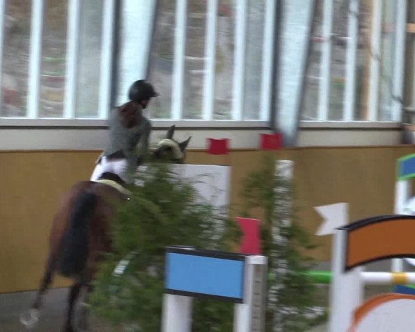 Spring- und Dressur Late Entry Münster-Amelsbüren 2022