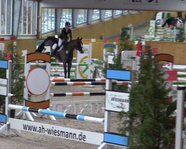 Spring- und Dressur Late Entry Münster-Amelsbüren 2022