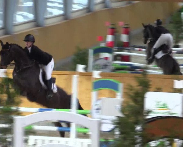 Spring- und Dressur Late Entry Münster-Amelsbüren 2022