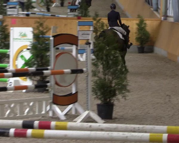 Spring- und Dressur Late Entry Münster-Amelsbüren 2022