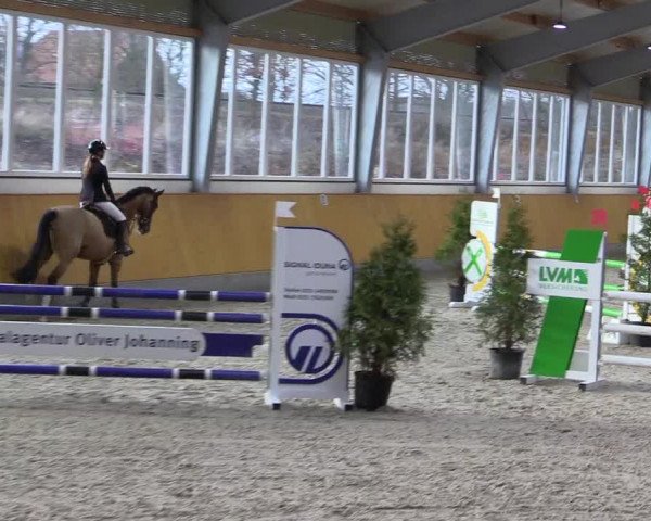 Spring- und Dressur Late Entry Münster-Amelsbüren 2022