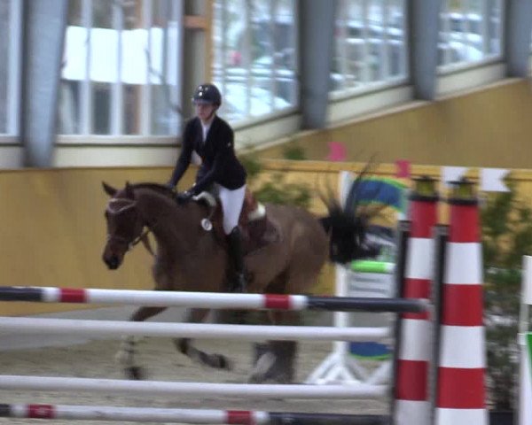 Spring- und Dressur Late Entry Münster-Amelsbüren 2022
