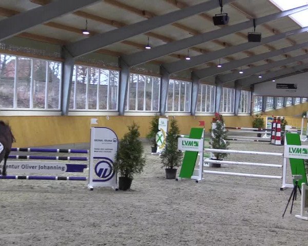 Spring- und Dressur Late Entry Münster-Amelsbüren 2022