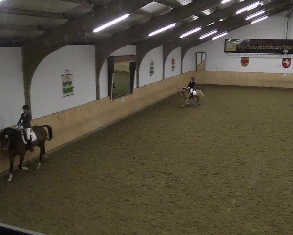 Reitturnier Olfen-Vinnum 2022