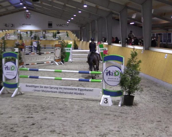 Spring- und Dressur Late Entry Münster-Amelsbüren 2022
