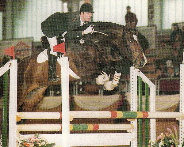 stallion Corasso B (Bavarian, 1989, from Coriolan)