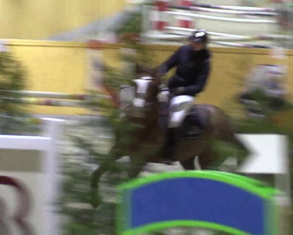 Spring- und Dressur Late Entry Münster-Amelsbüren 2022