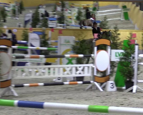 Spring- und Dressur Late Entry Münster-Amelsbüren 2022