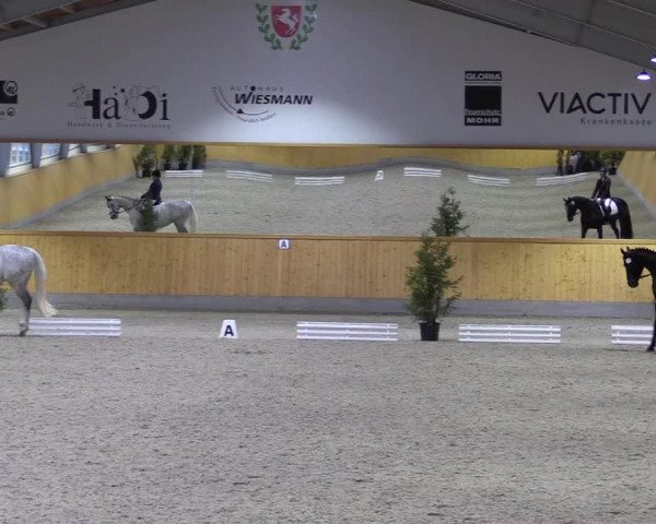 Spring- und Dressur Late Entry Münster-Amelsbüren 2022