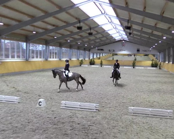 Spring- und Dressur Late Entry Münster-Amelsbüren 2022