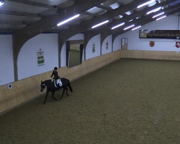 Reitturnier Olfen-Vinnum 2022