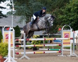 Springpferd Champion D'Amur (Deutsches Sportpferd, 2005, von Carolus I)